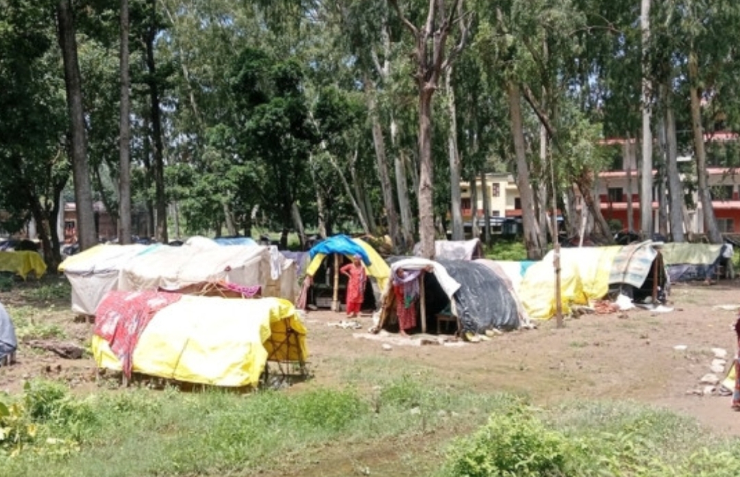 ६ महिनादेखि आन्दोलित शुक्लाफाँटा विस्थापितको झरीमा छाप्रोमुनिको बास